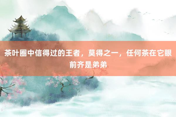 茶叶圈中信得过的王者，莫得之一，任何茶在它眼前齐是弟弟