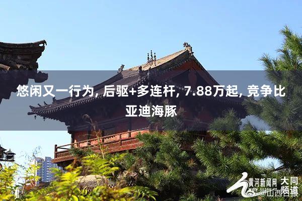 悠闲又一行为, 后驱+多连杆, 7.88万起, 竞争比亚迪海豚